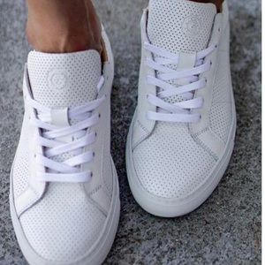 Greats perforated royale Clearance